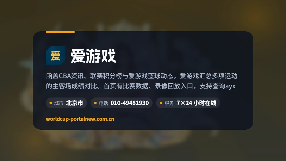 爱游戏概况